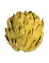 Dried Green Artichoke