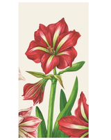 Amaryllis Bloom Guest Napkin