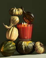 NEST 21.1 oz 3-Wick Candle - Pumpkin Chai