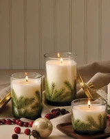 Thymes Frasier Fir Heritage Large Pine Needle Luminary