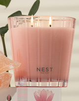 NEST 3-Wick Candle in Assorted Scents