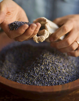 Los Poblanos Lavender Sachet