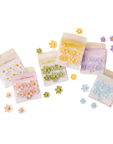 Daisy Delight Magnet Set