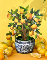 Lemon Tree Pop Up Card