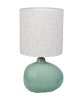 Aqua Organic Shaped Table Lamp (IN STORE PICKUP ONLY)