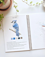 Birds Watercolor Workbook
