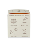 Plant the Box Sweet Sunflower Candle