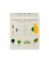 Plant the Box Sweet Sunflower Candle