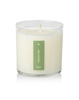Plant the Box Crushed Mint Candle