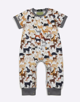 Dog Park Boy Romper