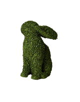 Buckwheat Husk Bunny