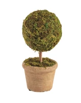 Moss Covered Topiary