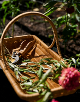 Gardening Pruning Shears