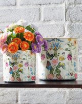 Botanical Flight Containers - Assorted Sizes