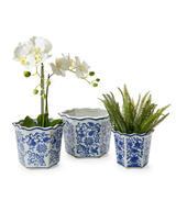 Blue & White Planters - Assorted Sizes