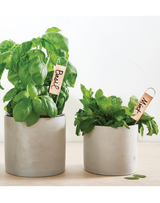 Copper Plant Markers