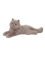 Juliette Grey Persian Cat