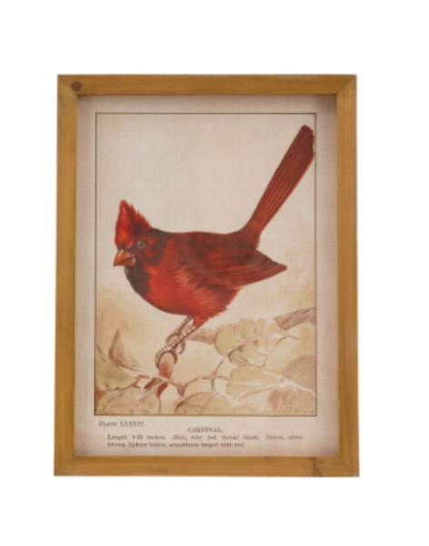 Vintage Cardinal Frame