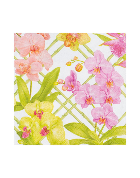 Orchid Conservatory Cocktail Napkins