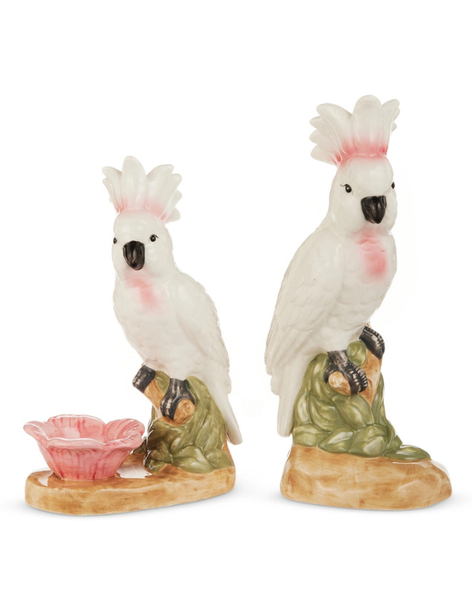 Pink Cockatoo - Assorted