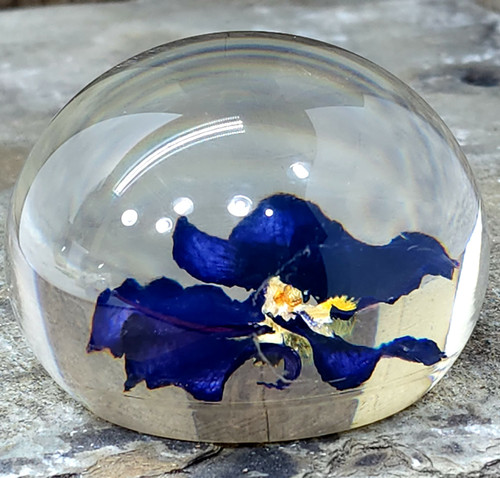 Vintage Tarax Infinity Lucite Paperweight Acrylic Encased Purple Flower Canada