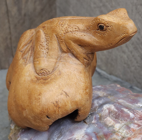 Vintage Hand-Carved Frog Folk Art Wood Burl Carving Natural Sculpture