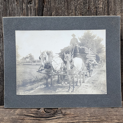Antique Horse Wagon Stacked Lumber Boards Photo on Board Mounted Photograph