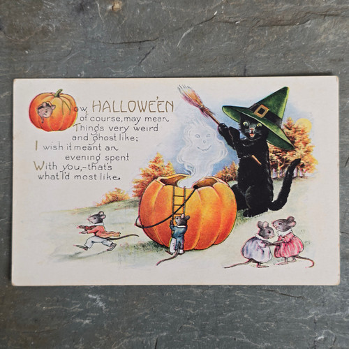 Antique Black Cat w/ Broom Ghost Coming Out of Pumpkin & Mice Halloween Postcard Antique Black Cat w/ Broom Ghost Coming Out of Pumpkin & Mice Halloween Postcard
