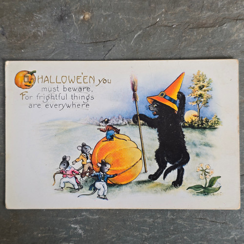 Antique Whitney Anthropomorphic Black Cat in Witch Hat & Mice Halloween Postcard