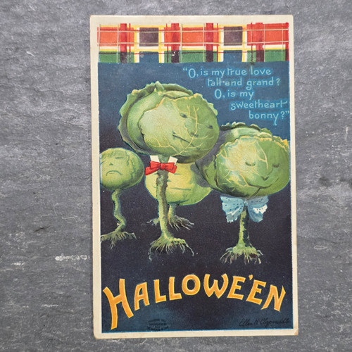 Antique Embossed Ellen Clapsaddle Cabbage Family Halloween Postcard Vegetables