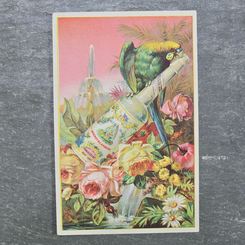 Murray & Lanman's Florida Water Perfume Advertising Victorian Trade Card Parrot