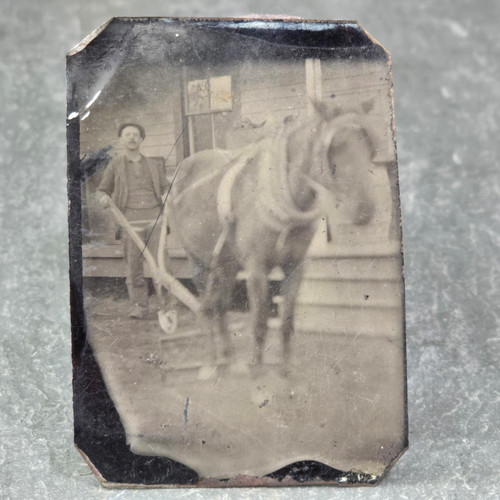 Farmer Man Posing Outside House with His Work Horse and Plow Tintype Photograph
