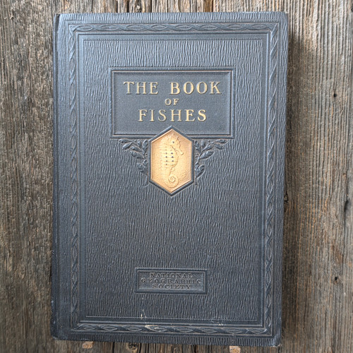1924 The Book of Fishes Vintage National Geographic HC Illus. Fish Color Prints