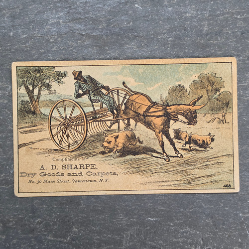 Victorian Trade Card A D Sharpe Dry Goods Jamestown NY Mule Hay Rake Pig Horse Black Americana