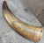 Antique Handmade Real Cow Bull Powder Horn Flask Gunpowder Holder Carrier