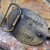 Vintage L.I. Leather Advertising Belt Buckle If the Shoe Fits, Wear It Repair It
