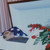 Vintage Post Mortem Color Photos Man Tinted Glasses Casket Coffin Funeral Home