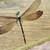 Vintage Dragonfly Scientific Specimen Lucite Resin Encased Dragonflies Insect