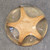 Vintage Mid-Century Starfish Encased in Acrylic Lucite Paperweight Star Fish