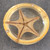 Vintage Mid-Century Starfish Encased in Acrylic Lucite Paperweight Star Fish