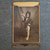 Antique Victorian Cabinet Card Photo Young Girl Dancer Ballerina w/ Top Hat Cane
