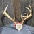 Vintage Asymmetrical 10 Point Whitetail Buck Deer Antlers Rack Horns Mounted