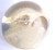 Vintage Mid-Century Acrylic Paperweight Dandelion Flower Seeds Encased Dome