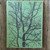 1968 Shamrock - St. Vincent Catholic High School Yearbook - Akron, Ohio
