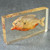 Vintage Red Bellied Piranha Fish Specimen Encased in Lucite Acrylic Paperweight