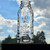 Samuel Callet Mid-Century Vintage Glass Little Pig Roast Beef Baby Bottle