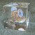 1960's 70's Vintage US Coins Encased in Lucite Cube Acrylic Paperweight Money