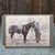 Antique Cabinet Card Photo Victorian Equestrian Man Bowler Hat Saddled Horse