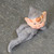 Vintage 1950s Japan Mica Glitter Reclining Pixie Elf Ornament Figurine Christmas