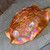Antique Millersburg Marigold Carnival Glass Blackberry Wreath Ruffled Bowl Star